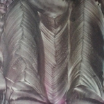 onder de loep genomen