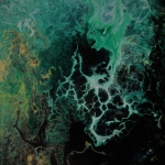 op de bodem van de zee