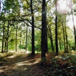 Groot Bylaer in herfstlicht.