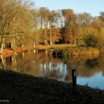 Prachtige weerspiegeling op een zonovergoten middag.