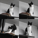 Lotje, een pittige en grappige dame.