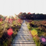 Spelen met de late zon, Klein Bylaer