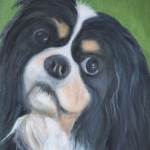 Pip