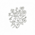 Heart - blooming