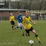 voetbal