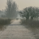 mist in de ochtend