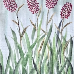 Aquarel 108