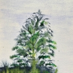 Aquarel 114