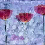 Aquarel 116