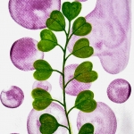 Aquarel 2024 (3)