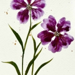 Aquarel 119