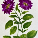 Aquarel 124