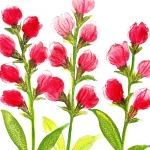 Aquarel 125