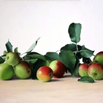 Appels uit St. Geertruid