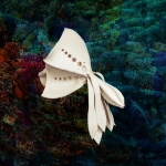 A.02 Articulata richeri