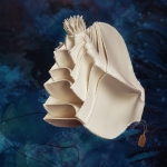 A.01 Actinia gracilis