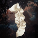 I.02 Nudipleura alba