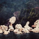 Onderwaterwereld / Deep Sea World