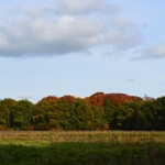 fort rover