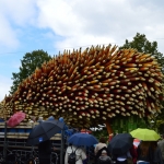 Geslepen