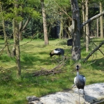 Blijdorp