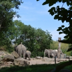 Blijdorp