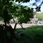 Blijdorp