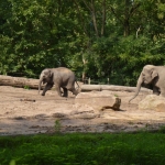 Blijdorp