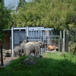Blijdorp