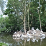Blijdorp