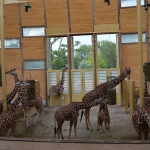 Blijdorp