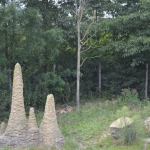 Blijdorp
