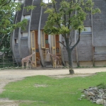 Blijdorp