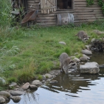 Blijdorp
