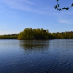Landerije