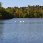 Landerije
