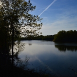 Landerije