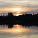 Landerije