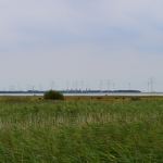 kop van t hoofd 1-8-16