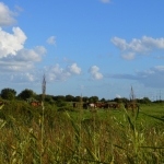 kop van t hoofd 9-8-16