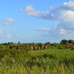 kop van t hoofd 9-8-16
