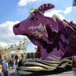Waterbuffalo - Laarheide
