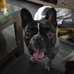 Boris