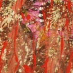 Searching for madonaa