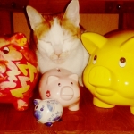 Moppie and the piggy banks