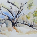 schets Las Dunas #11