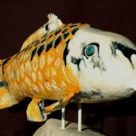 Koi Karper