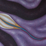 I think we all know where this is going