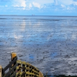 Wadden Sea at Wierum