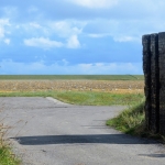 new land